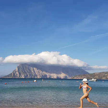 Da Graziella E Carlo - Mare Cristallino - Vicino A Molte Bellissime Spiagge Apartment