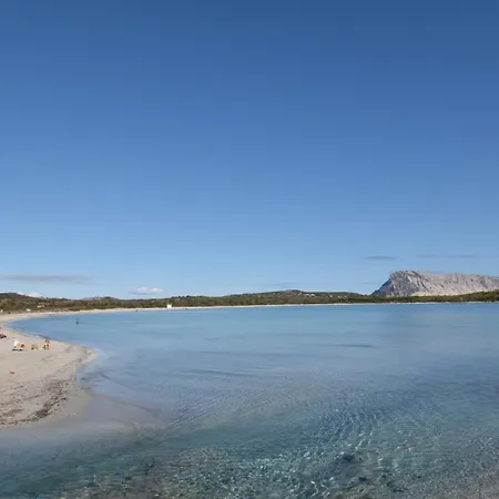 公寓 Da Graziella E Carlo - Mare Cristallino - Vicino A Molte Bellissime Spiagge 圣特奥多罗