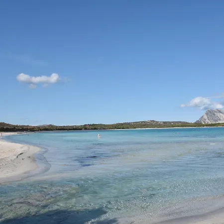公寓 Da Graziella E Carlo - Mare Cristallino - Vicino A Molte Bellissime Spiagge *