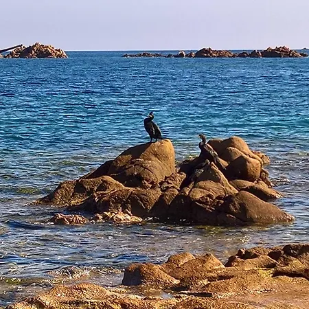 公寓 Da Graziella E Carlo - Mare Cristallino - Vicino A Molte Bellissime Spiagge *