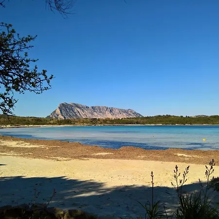 Da Graziella E Carlo - Mare Cristallino - Vicino A Molte Bellissime Spiagge *