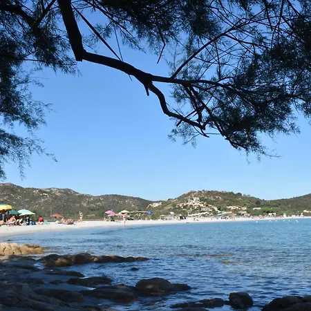 公寓 Da Graziella E Carlo - Mare Cristallino - Vicino A Molte Bellissime Spiagge 圣特奥多罗